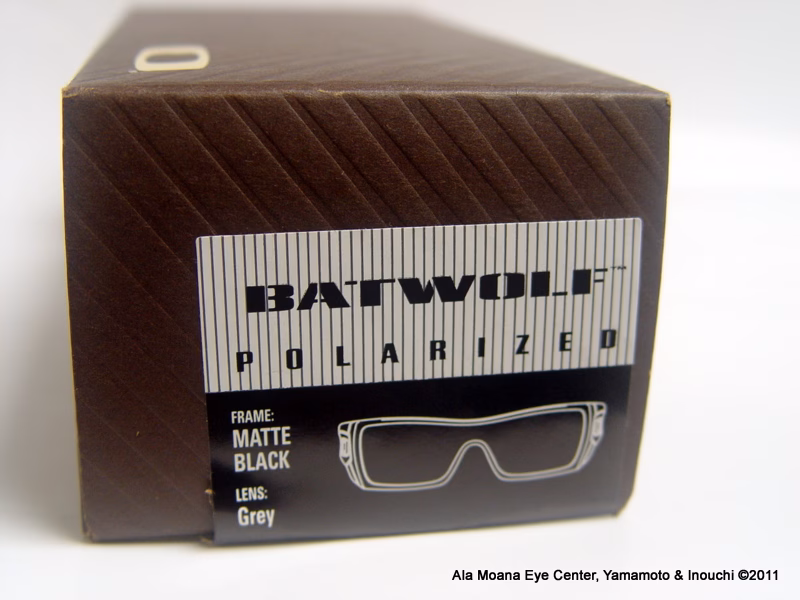 Oakley Batwolf Box