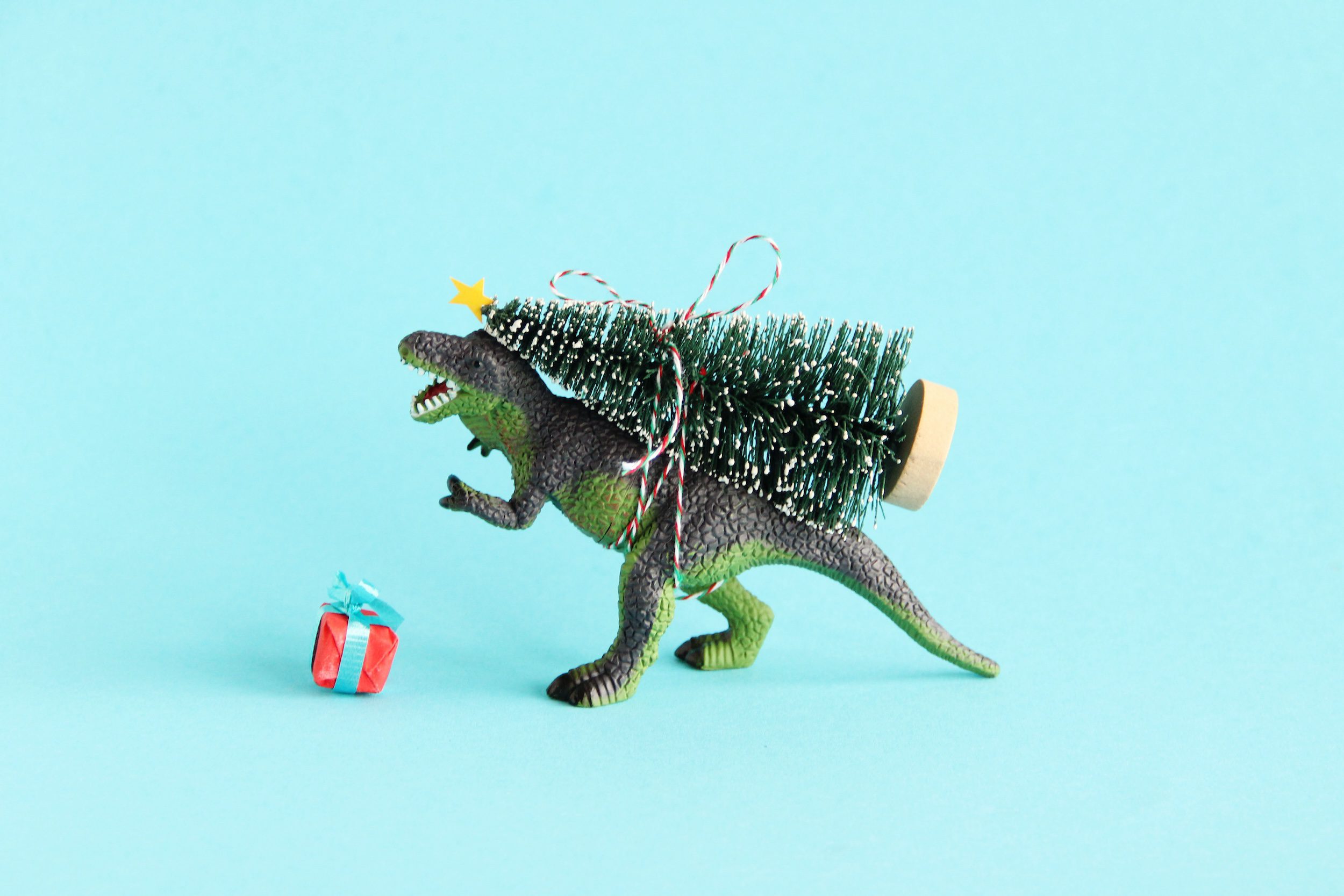 Keep the season (and your family’s eyes) safe and bright with these toy safety tips!